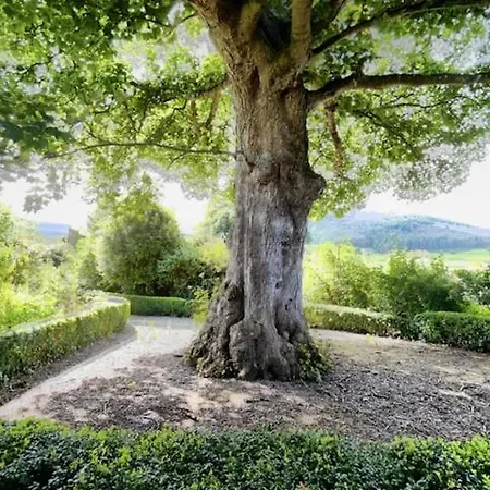 Gæstehus Ghan House Carlingford